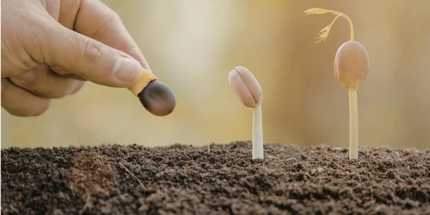 Seedlist Guideline #4: Building the Seedlist