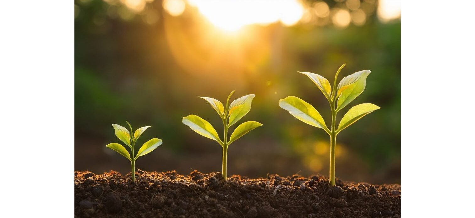 Seedlist Guideline #1: Why Use a Seedlist?